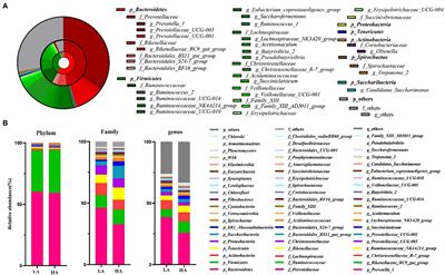 Effects of Altitude on the Digestion Performance, Serum Antioxidative Characteristics, Rumen Fermentation Parameters, and Rumen Bacteria of Sanhe Heifers